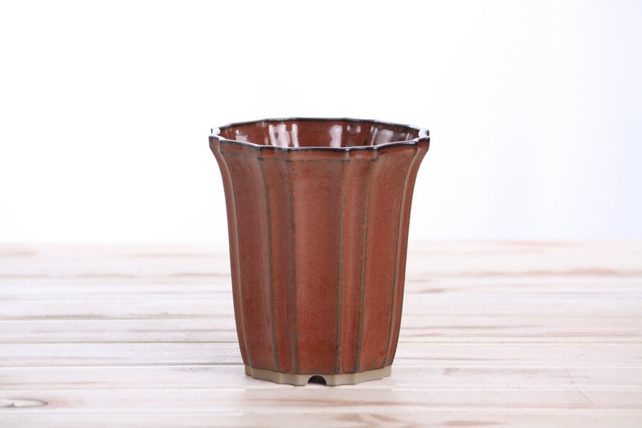 4.5-Inch Flower Cascade Bonsai Pot - Sunset