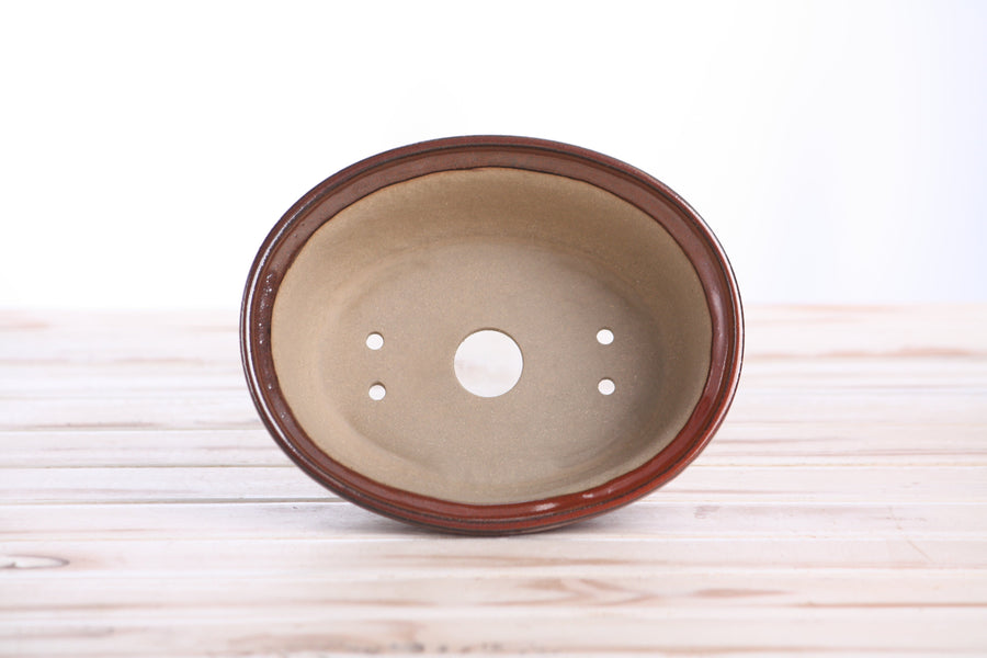 6.5-Inch Fat Oval Bonsai Pot - Sunset