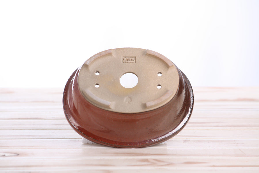 6.5-Inch Fat Oval Bonsai Pot - Sunset