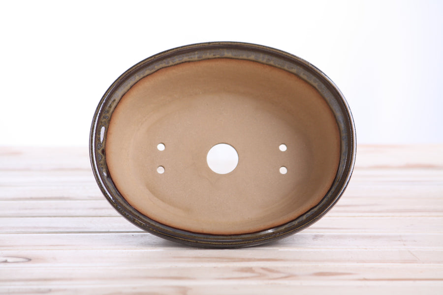 7.5-Inch Fat Oval Bonsai Pot - Dark Honey