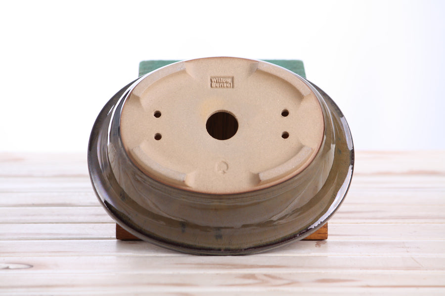 7.5-Inch Fat Oval Bonsai Pot - Dark Honey