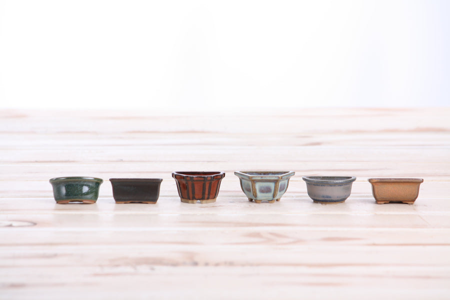 Mini Ceramic Bonsai Pot Magnets, 1.5 Inch - Set of 6