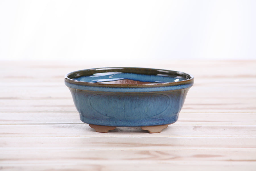 5-Inch Oval B Bonsai Pot - Peacock 2025