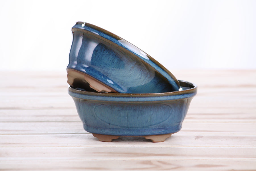 5-Inch Oval B Bonsai Pot - Peacock 2025