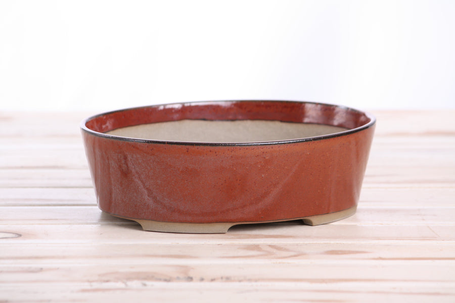 8-Inch Oval A Bonsai Pot - Sunset