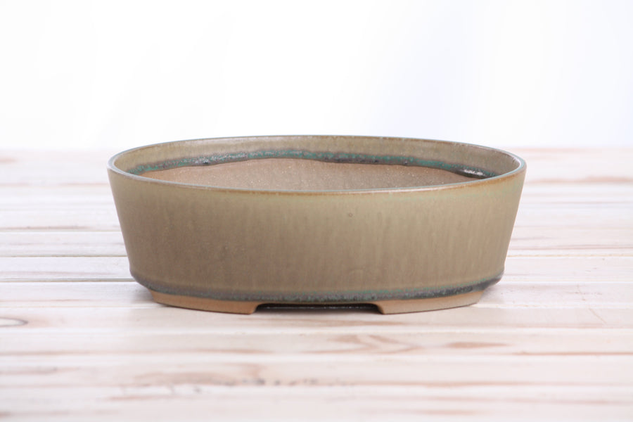 8-Inch Oval A Bonsai Pot - Speckled Moss
