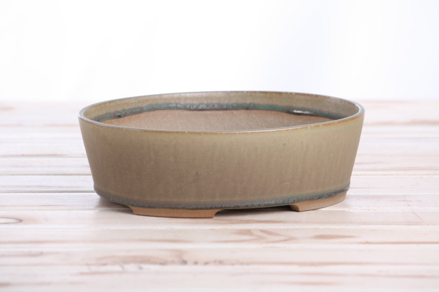 8-Inch Oval A Bonsai Pot - Speckled Moss
