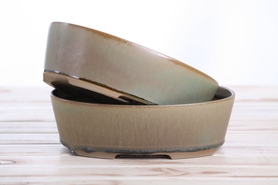 8-Inch Oval A Bonsai Pot - Speckled Moss