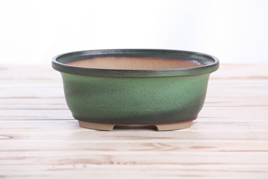 7.5-Inch Fat Oval Bonsai Pot - Avocado