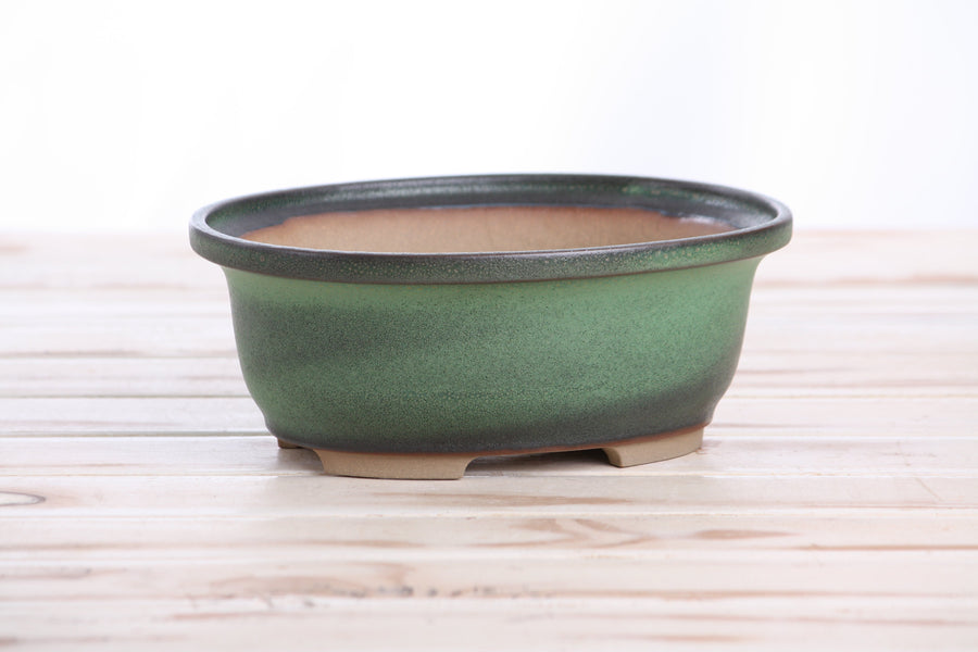 7.5-Inch Fat Oval Bonsai Pot - Avocado