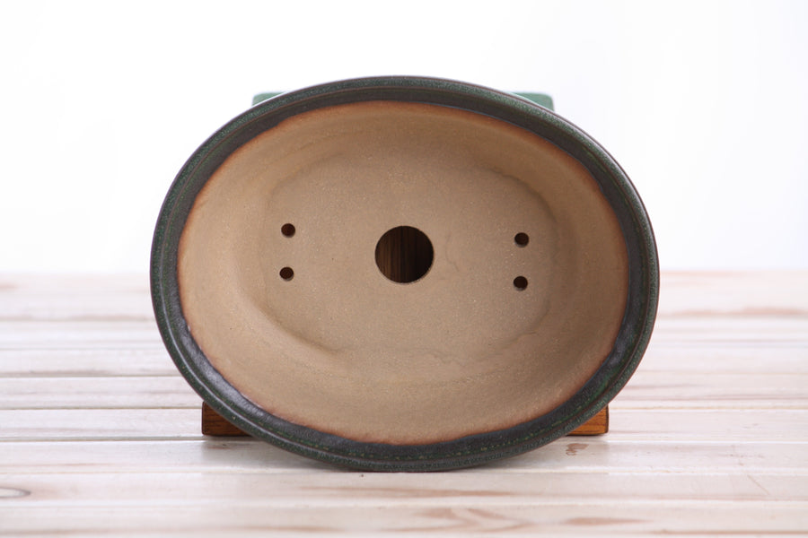 7.5-Inch Fat Oval Bonsai Pot - Avocado