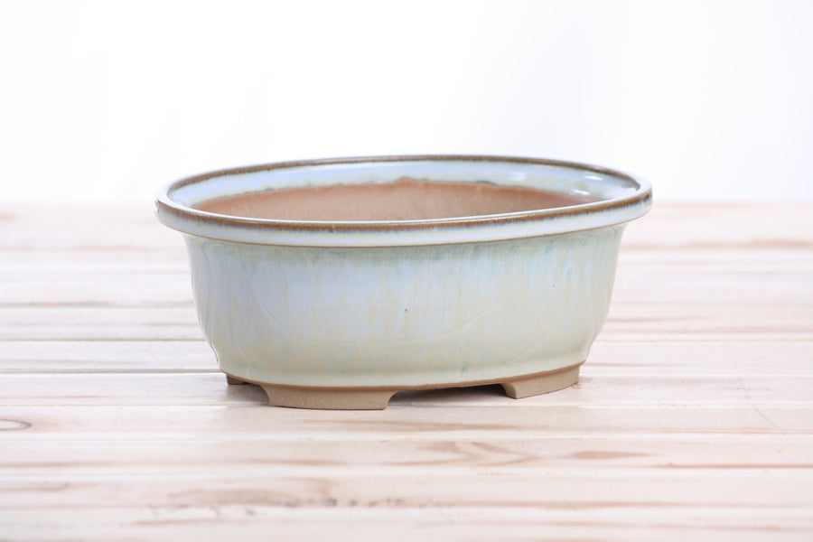 7.5-Inch Fat Oval Bonsai Pot - Glacier