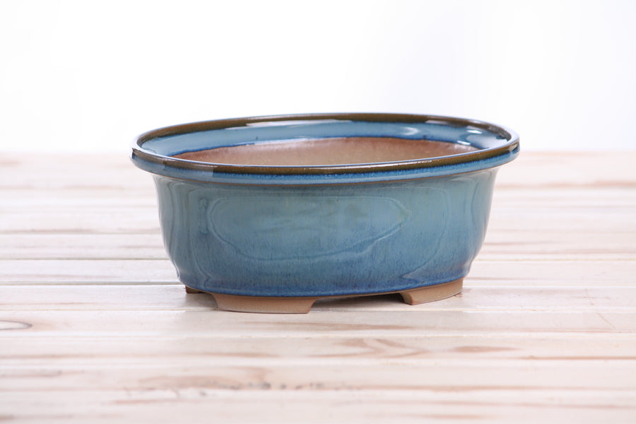 7.5-Inch Fat Oval Bonsai Pot - Peacock 2025