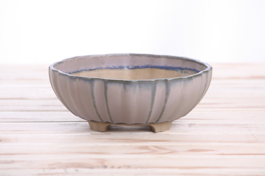 7-Inch Lily Bonsai Pot - Ocean