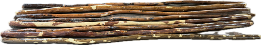 Bundle of long hardwood hiking sticks arranged horizontally