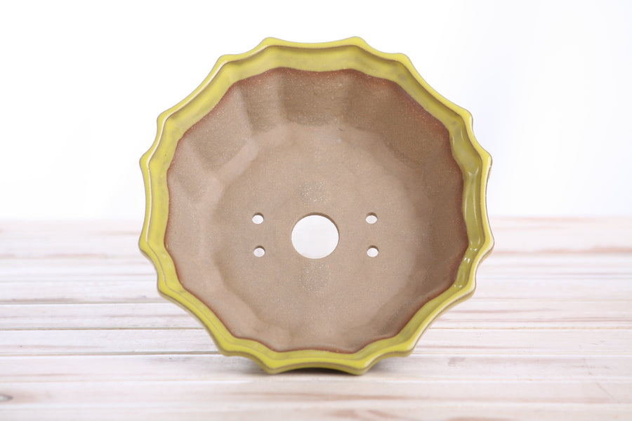6.5-Inch Flower Bonsai Pot - Yellow