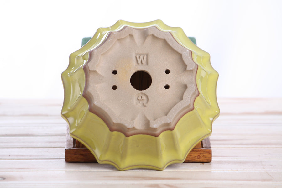6.5-Inch Flower Bonsai Pot - Yellow