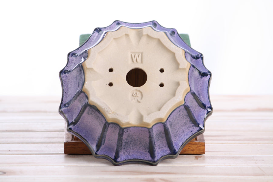 6.5-Inch Flower Bonsai Pot - Purple