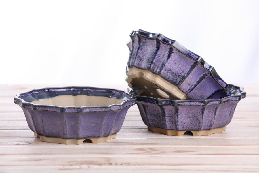 6.5-Inch Flower Bonsai Pot - Purple