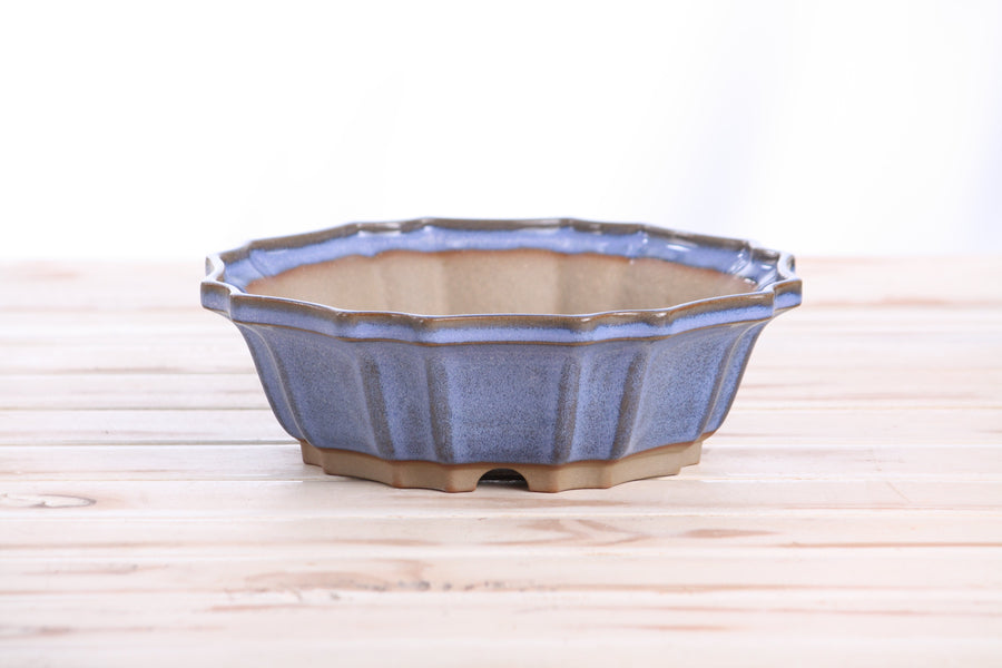8-Inch Flower Bonsai Pot - Denim