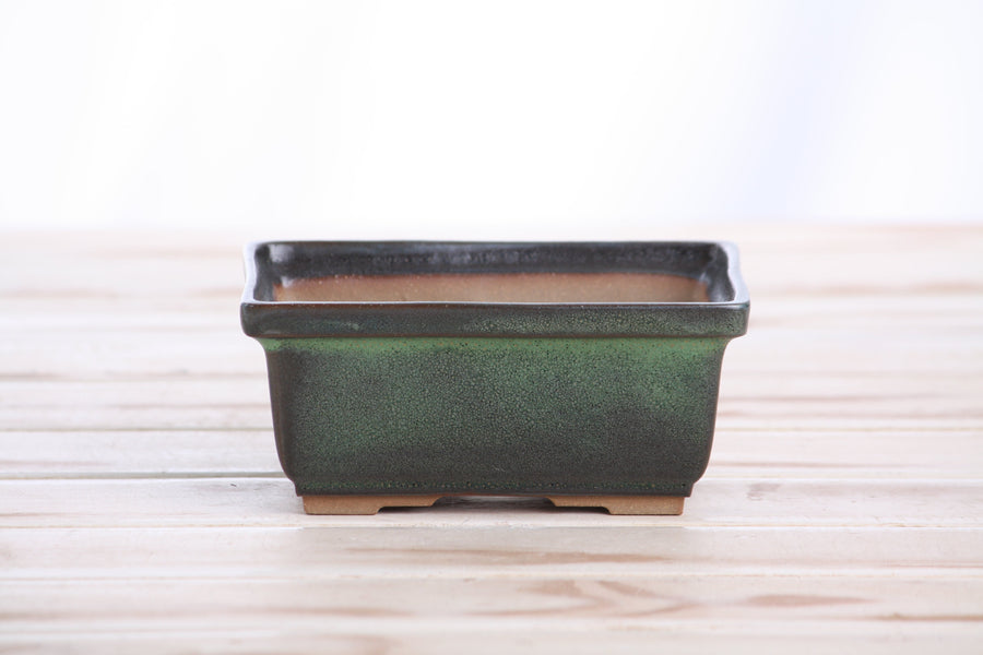 5-Inch Rectangle Deep Bonsai Pot - Avocado