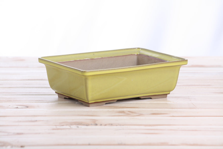 8-Inch Rectangle Bonsai Pot - Yellow