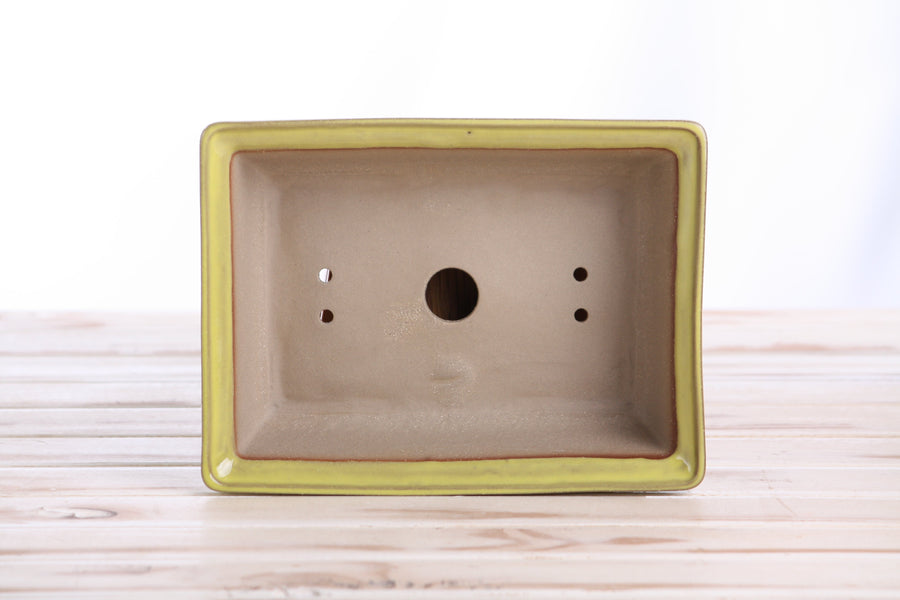 8-Inch Rectangle Bonsai Pot - Yellow