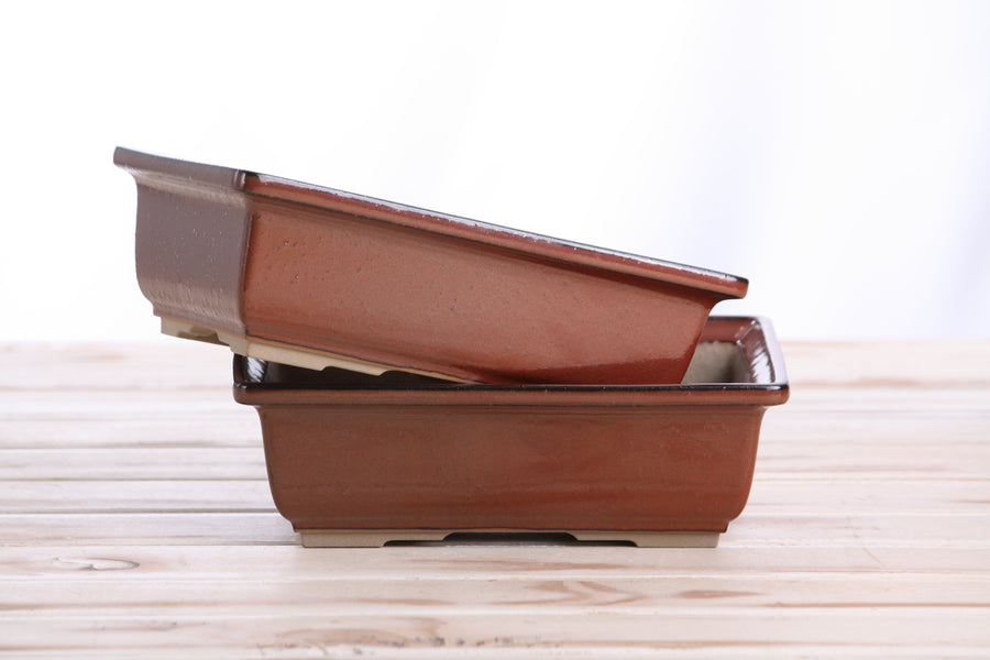 8-Inch Rectangle Bonsai Pot - Sunset