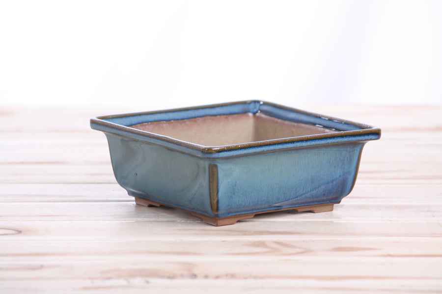5.5-Inch Square Bonsai Pot - Peacock 2025