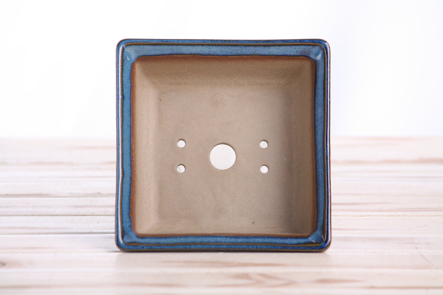 5.5-Inch Square Bonsai Pot - Peacock 2025