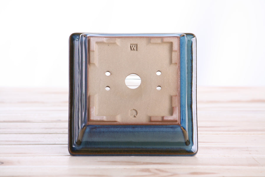 5.5-Inch Square Bonsai Pot - Peacock 2025
