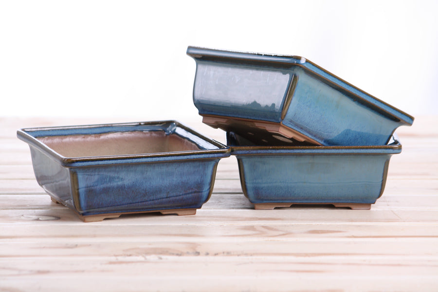 5.5-Inch Square Bonsai Pot - Peacock 2025