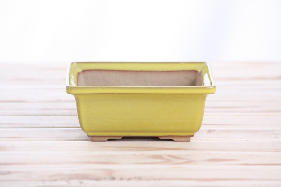 5.5-Inch Square Bonsai Pot - Yellow