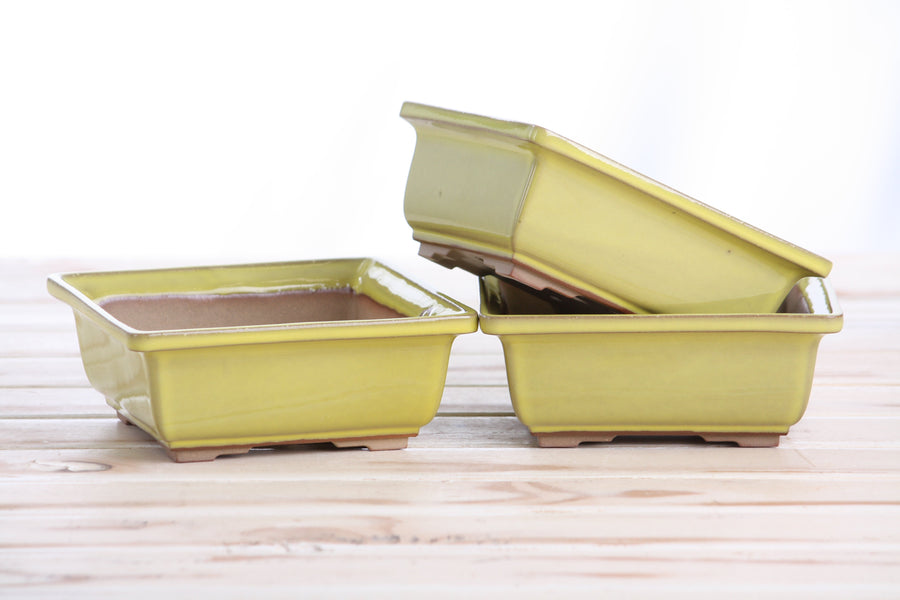 5.5-Inch Square Bonsai Pot - Yellow