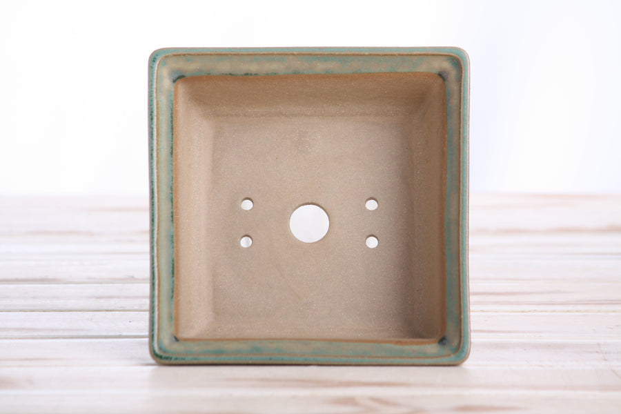 5.5-Inch Square Bonsai Pot - Speckled Moss