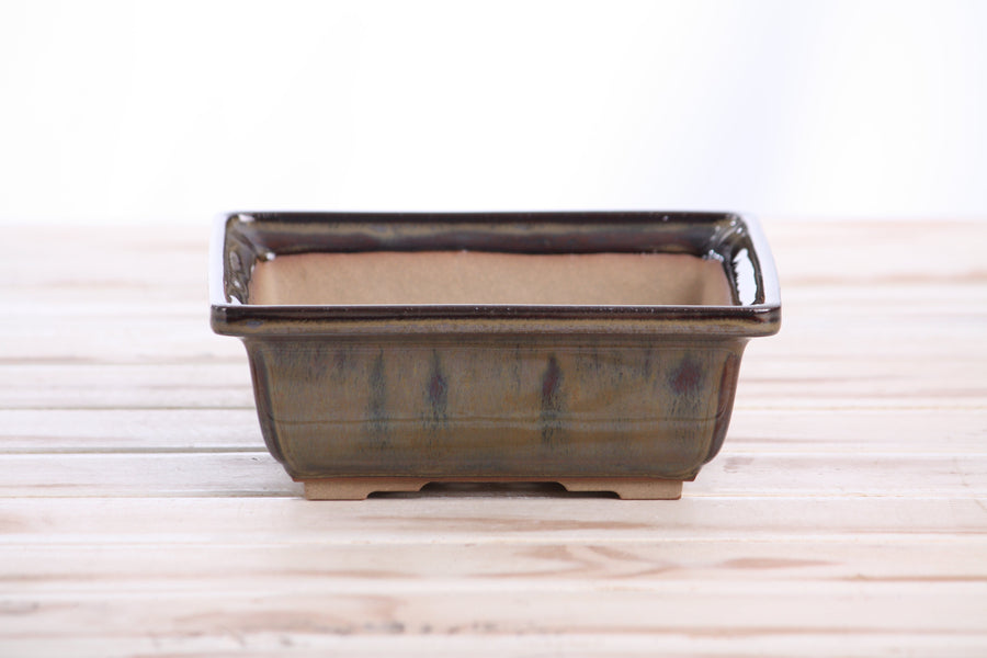 6-Inch Square Bonsai Pot - Dark Honey
