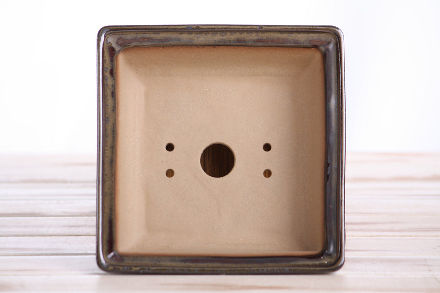 6-Inch Square Bonsai Pot - Dark Honey