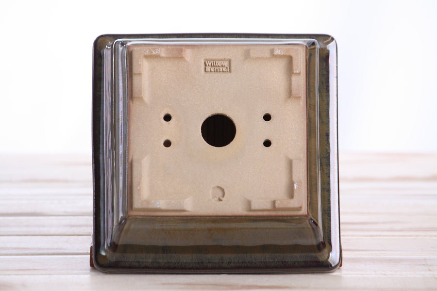 6-Inch Square Bonsai Pot - Dark Honey