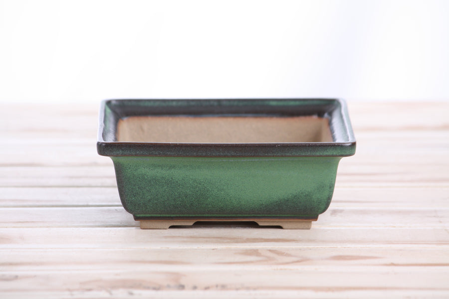 6-Inch Square Bonsai Pot - Avocado