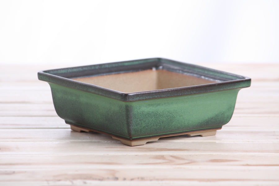 6-Inch Square Bonsai Pot - Avocado