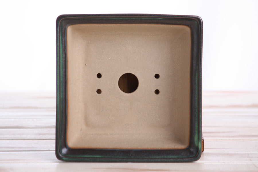 6-Inch Square Bonsai Pot - Avocado
