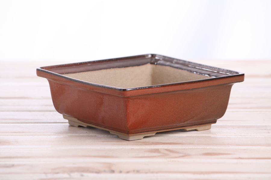 6-Inch Square Bonsai Pot - Sunset