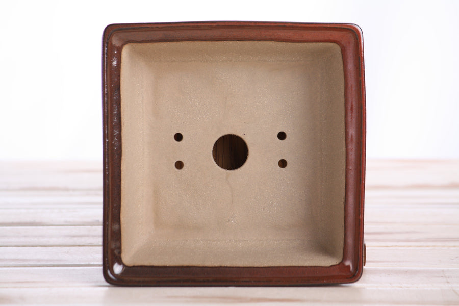 6-Inch Square Bonsai Pot - Sunset