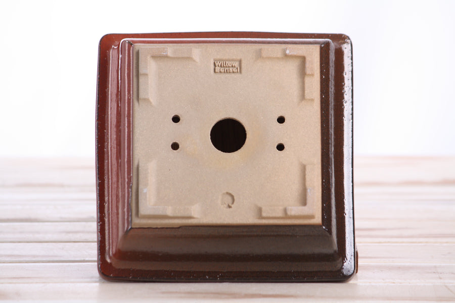 6-Inch Square Bonsai Pot - Sunset