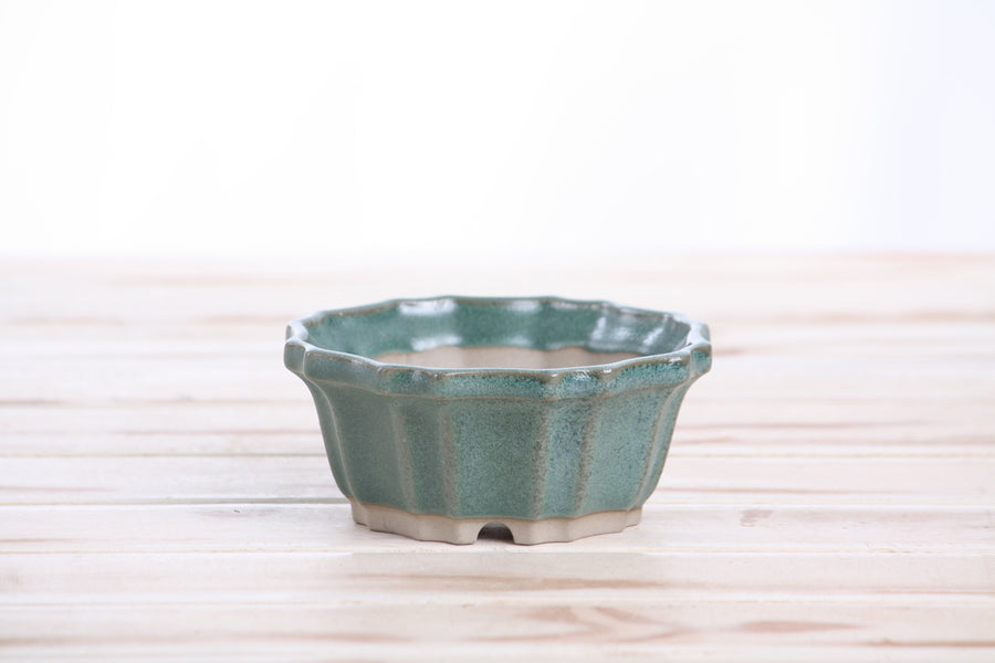4.5-Inch Flower Bonsai Pot - Seaweed 2023