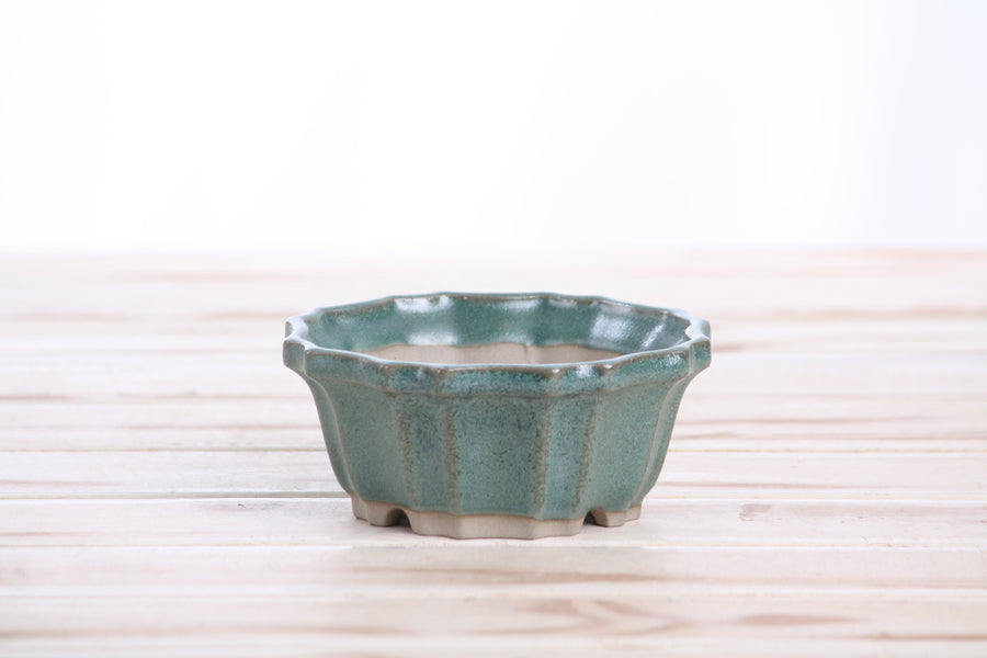 4.5-Inch Flower Bonsai Pot - Seaweed 2023
