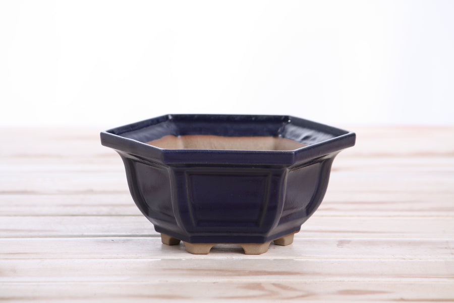 5-Inch Hexagonal Windowed Bonsai Pot - Ruri