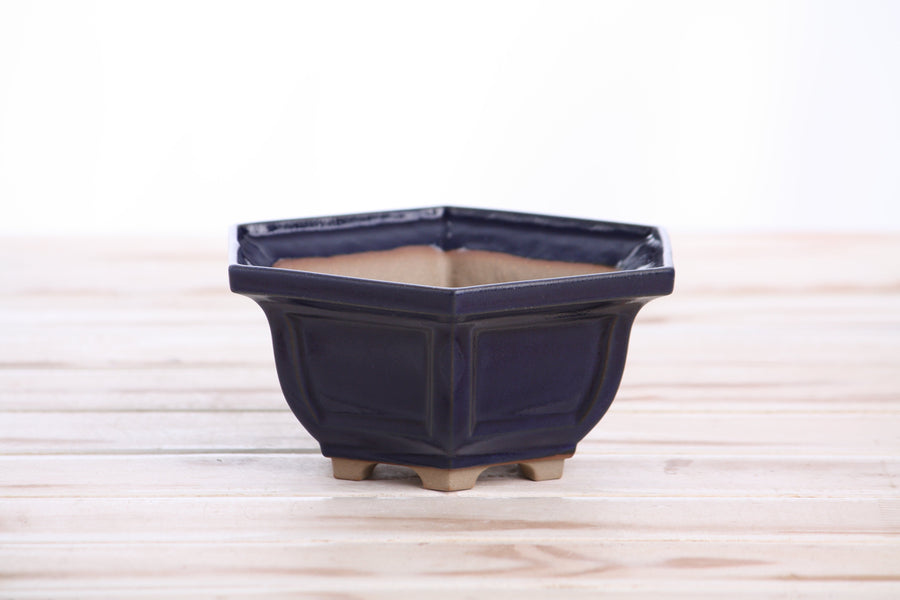 5-Inch Hexagonal Windowed Bonsai Pot - Ruri