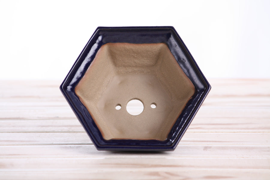 5-Inch Hexagonal Windowed Bonsai Pot - Ruri