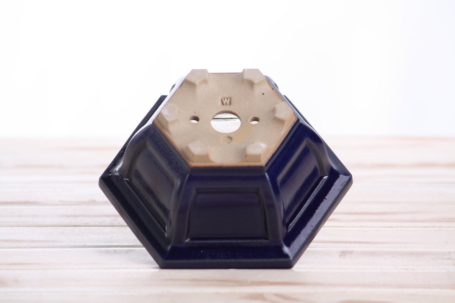 5-Inch Hexagonal Windowed Bonsai Pot - Ruri